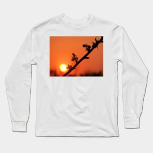 Beginning & End Long Sleeve T-Shirt